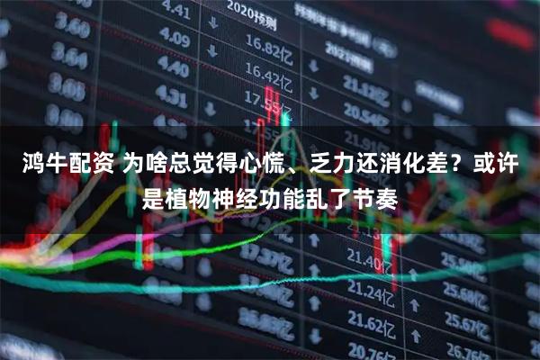 鸿牛配资 为啥总觉得心慌、乏力还消化差？或许是植物神经功能乱了节奏