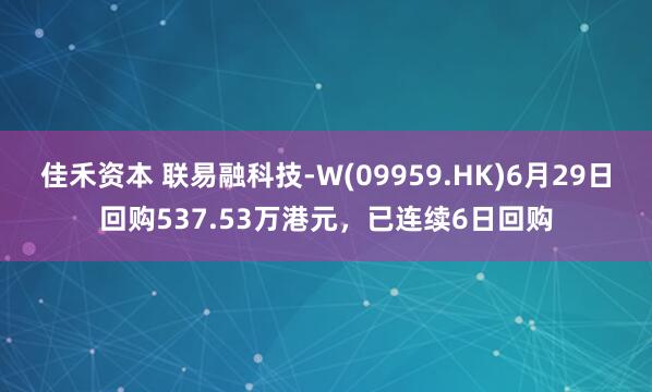 佳禾资本 联易融科技-W(09959.HK)6月29日回购537.53万港元，已连续6日回购